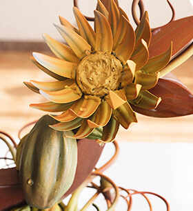 烘焙甜点大咖班